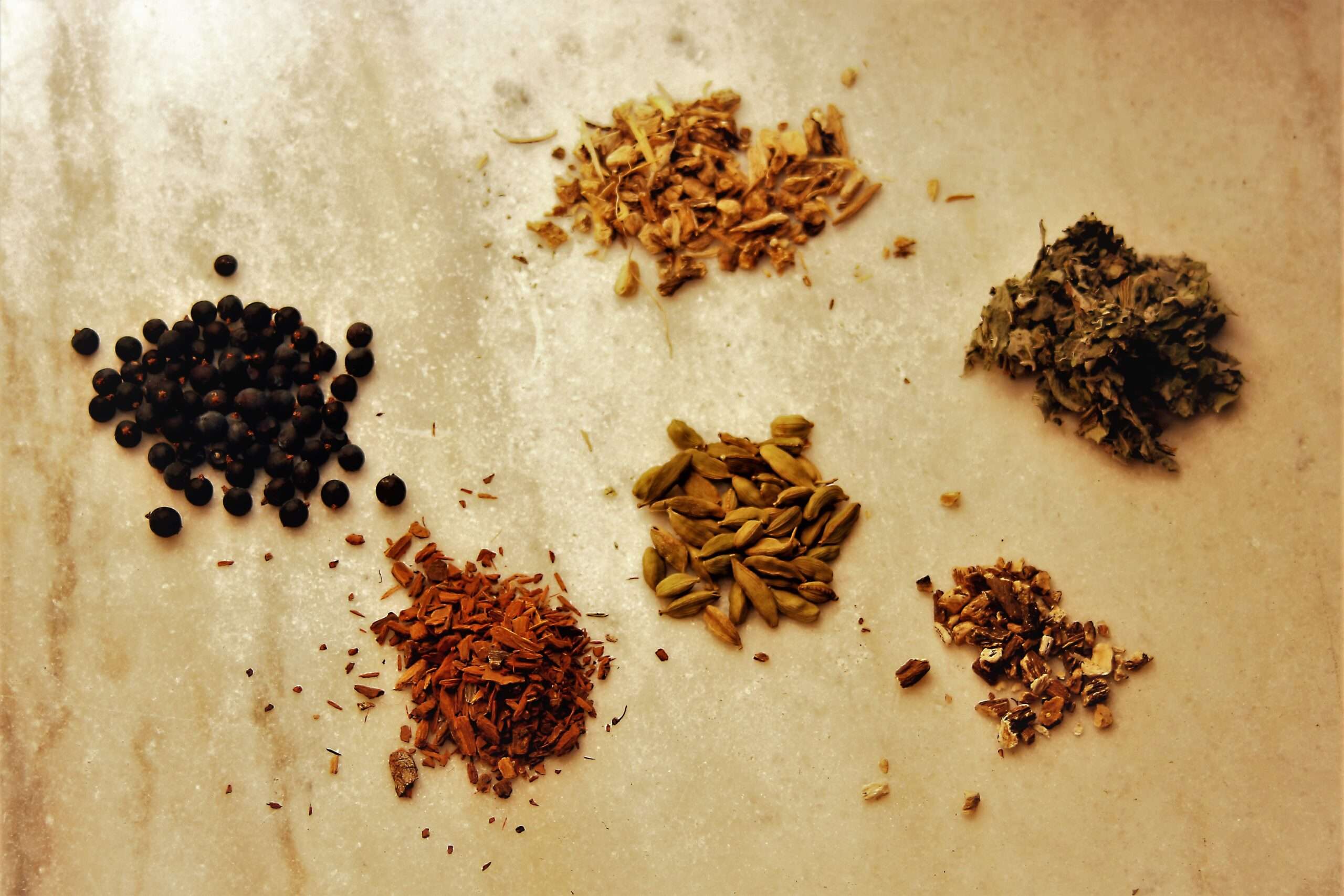 Botaniche locali utilizzate nei distillati di Spiriti del Bosco
